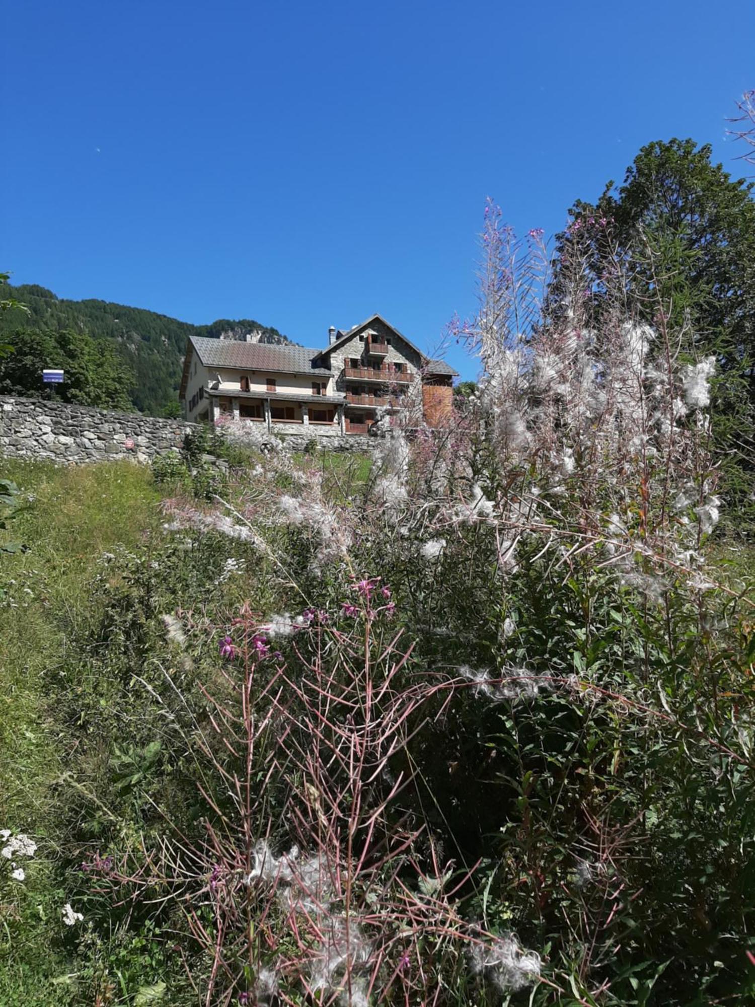 פסי-ננקרואה Hotel Chalet Du Bon Air מראה חיצוני תמונה